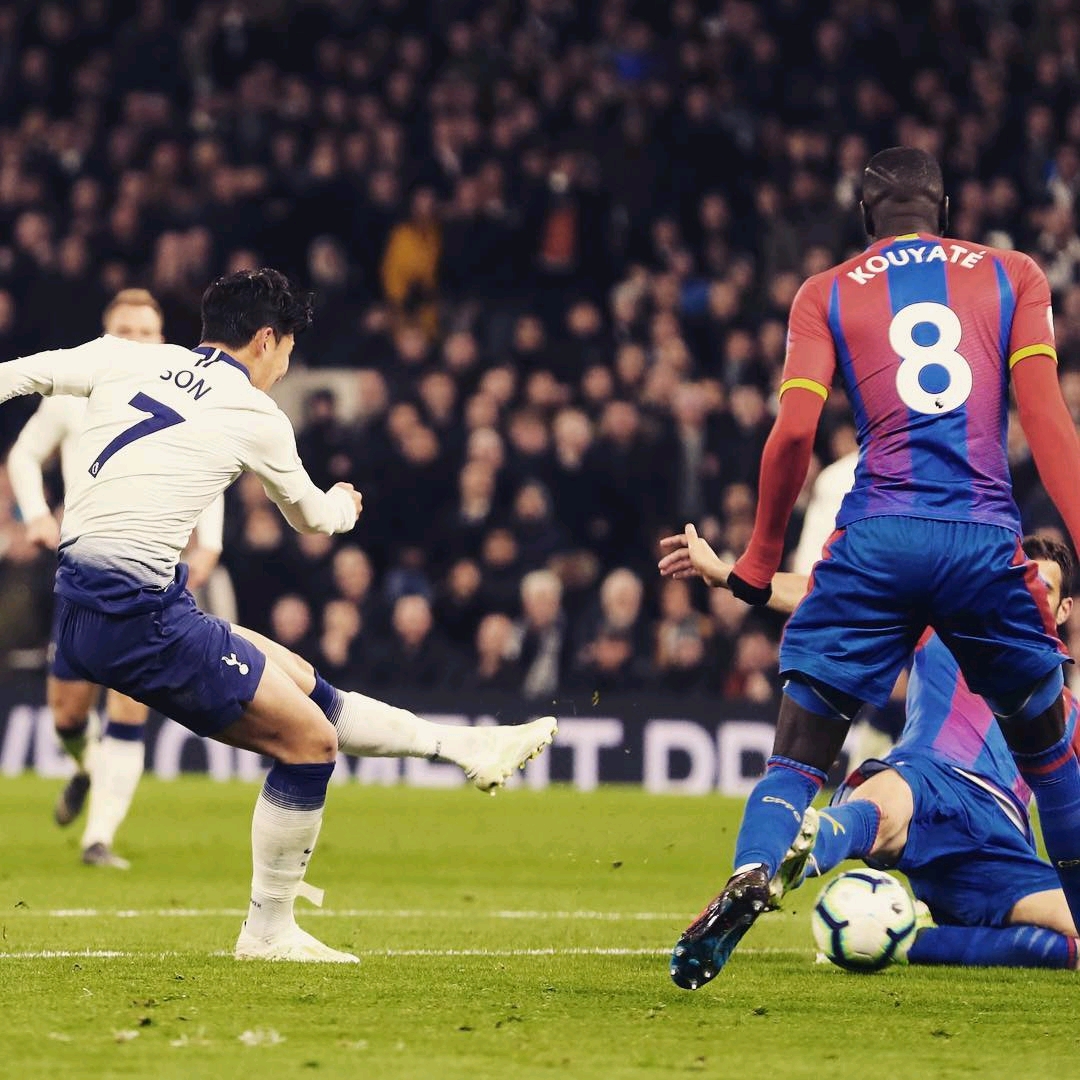 性为决定要 性为决定要