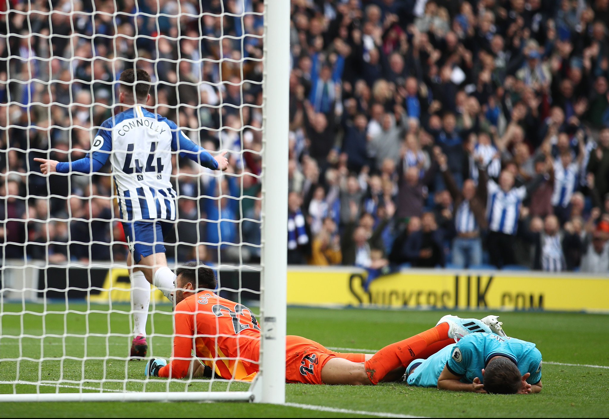 蓝军不仅愿 蓝军不仅愿